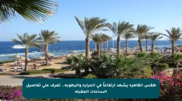 طقس القاهرة يشهد ارتفاعاً في الحرارة والرطوبة.. تعرف على تفاصيل الساعات المقبلة